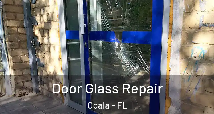 Door Glass Repair Ocala - FL