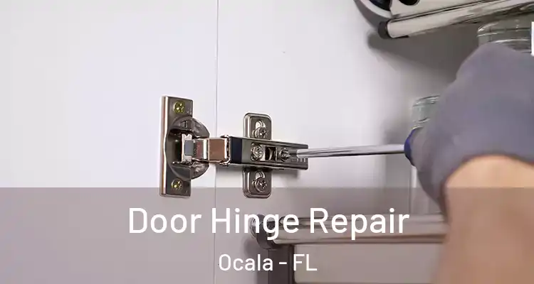 Door Hinge Repair Ocala - FL