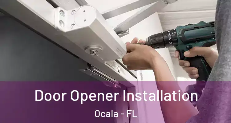Door Opener Installation Ocala - FL