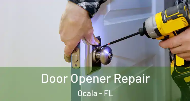 Door Opener Repair Ocala - FL