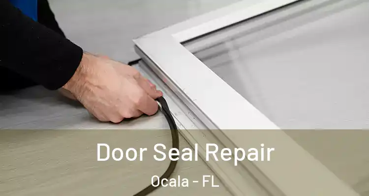 Door Seal Repair Ocala - FL