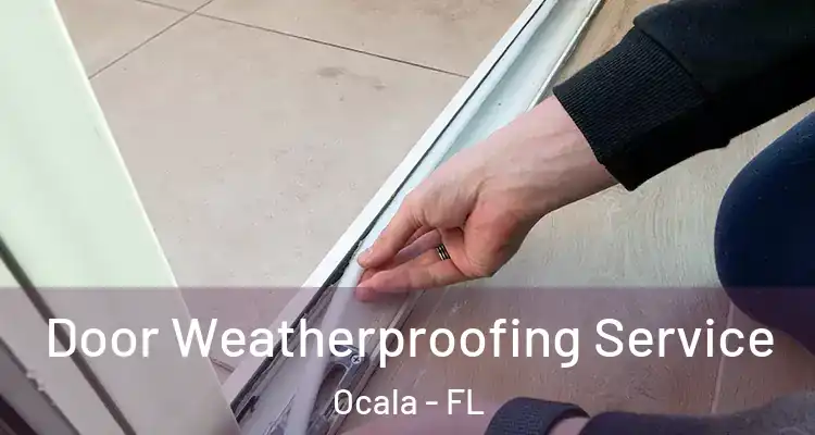 Door Weatherproofing Service Ocala - FL