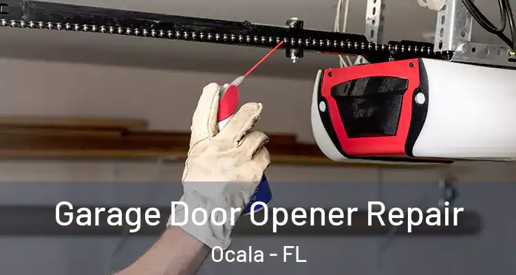 Garage Door Opener Repair Ocala - FL
