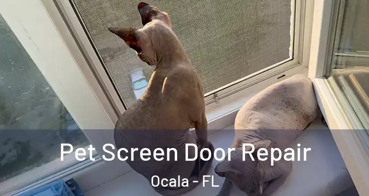 Pet Screen Door Repair Ocala - FL